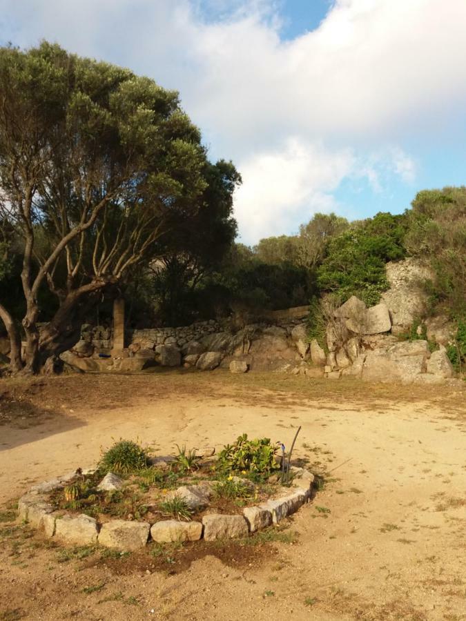 Casa Eleonora Villa Santa Teresa Gallura Kültér fotó