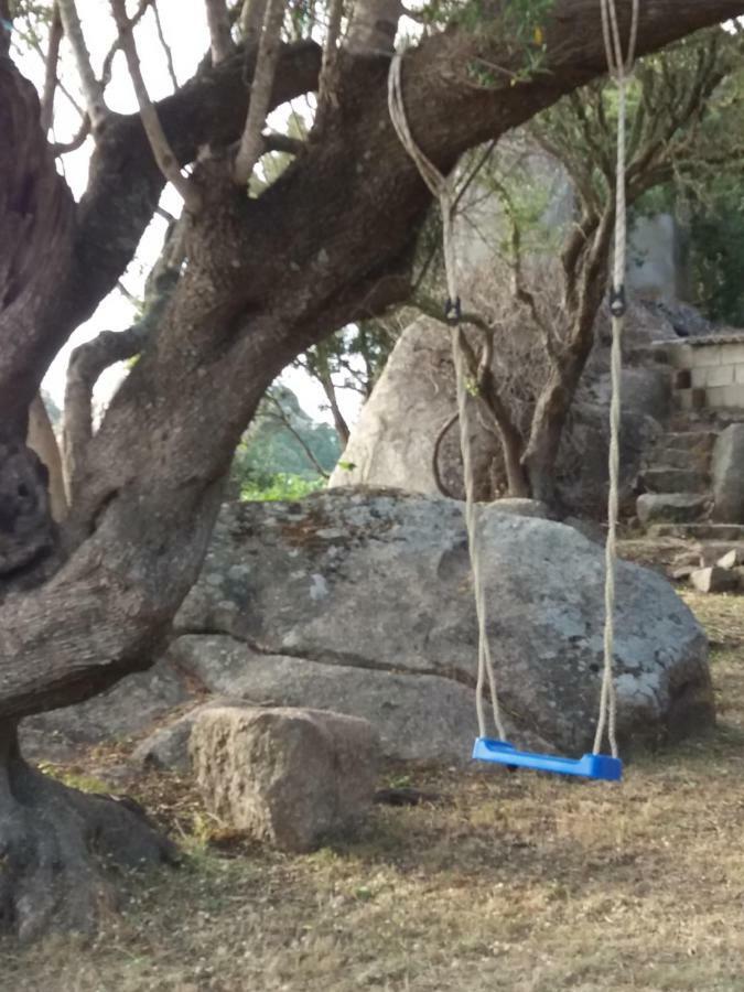 Casa Eleonora Villa Santa Teresa Gallura Kültér fotó